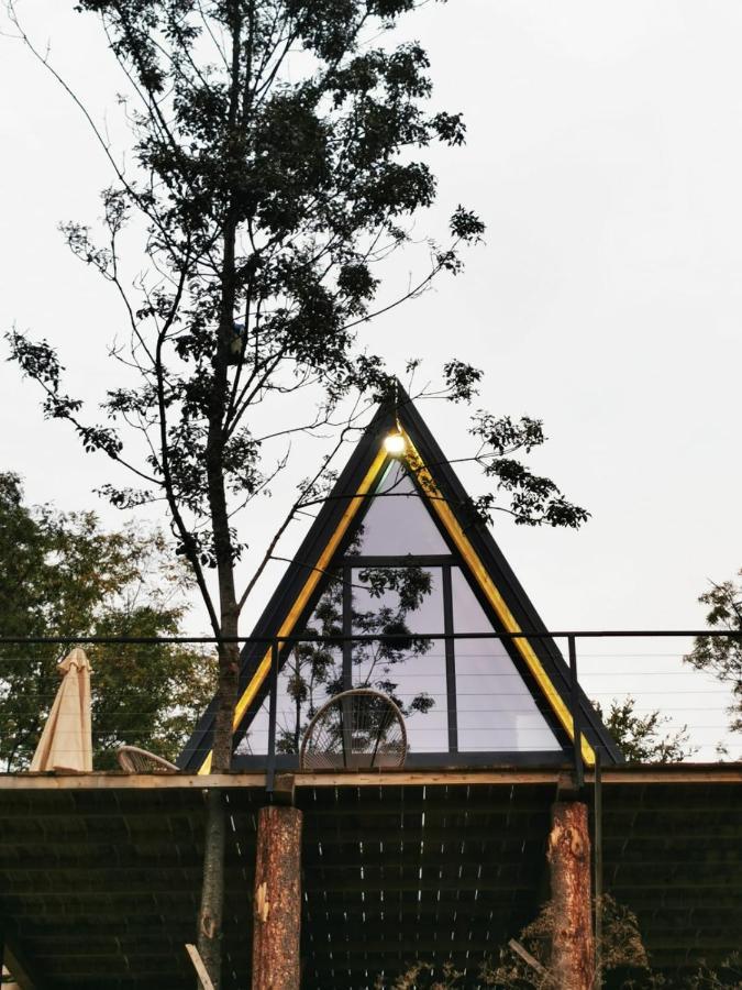 Вілла Spy Nest House Knic Екстер'єр фото